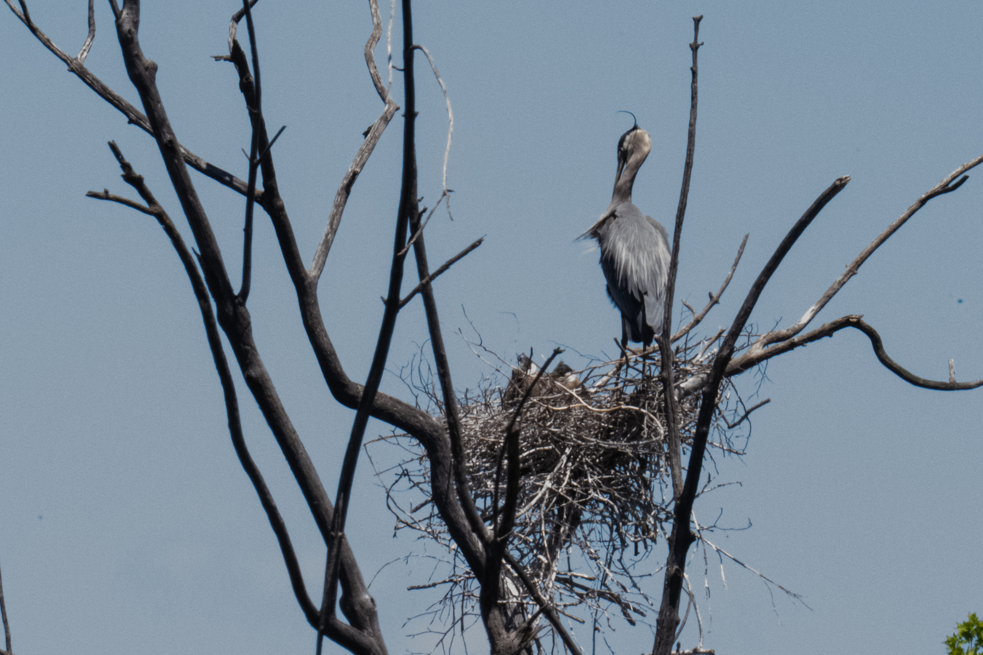 Back to check on life at Huron Natural
